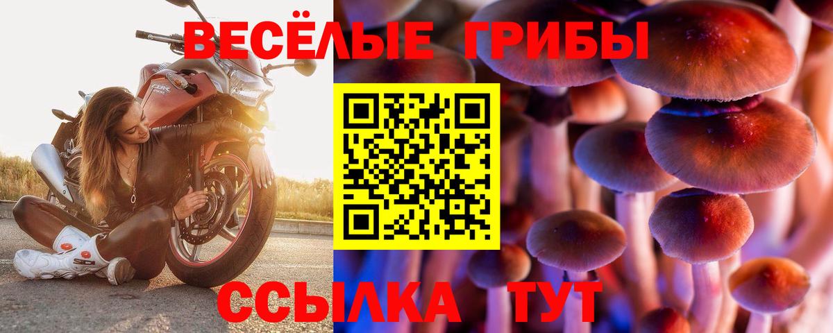 Галлюциногенные грибы GOLDEN TEACHER  Вход с VPN  Галлюциногенные грибы ЛСД  Нефтекумск 